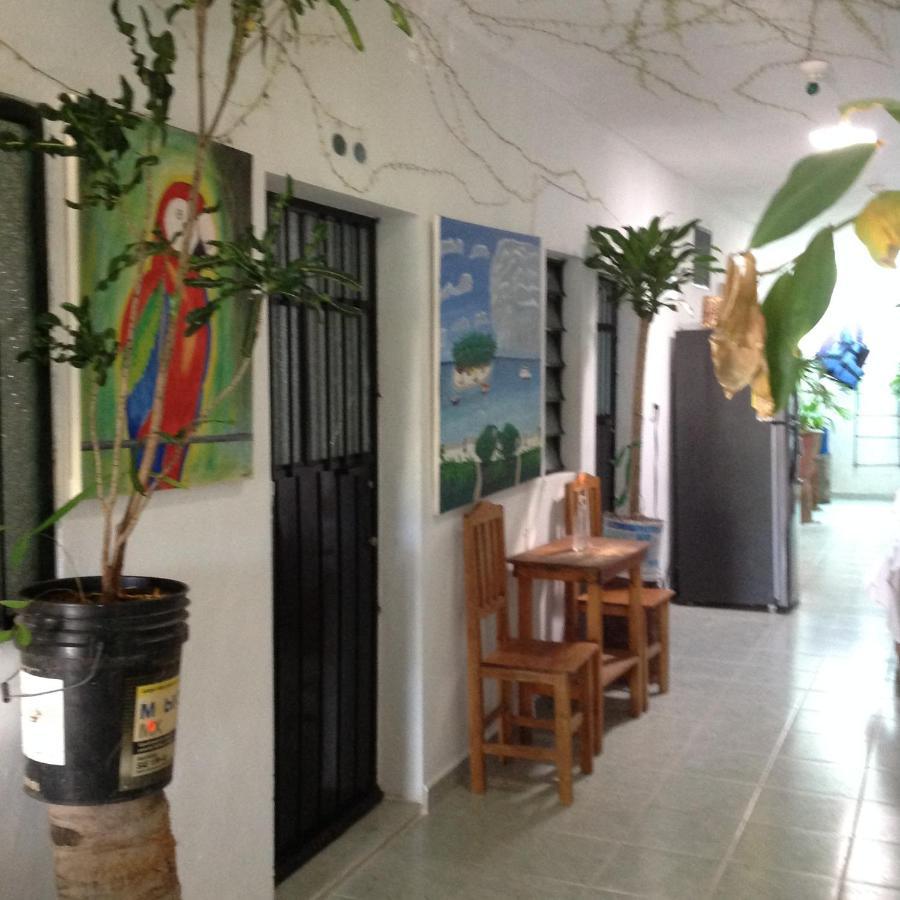 Alojamiento Ya'Ax Nah Playa del Carmen Dış mekan fotoğraf