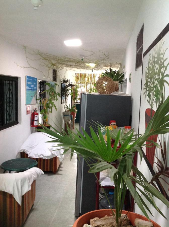 Alojamiento Ya'Ax Nah Playa del Carmen Dış mekan fotoğraf