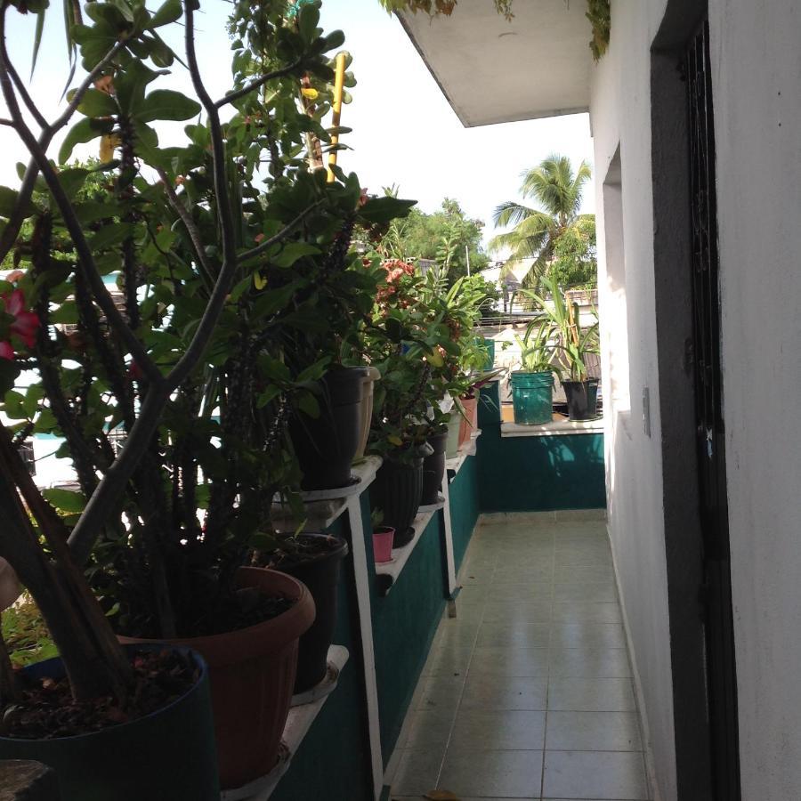 Alojamiento Ya'Ax Nah Playa del Carmen Dış mekan fotoğraf