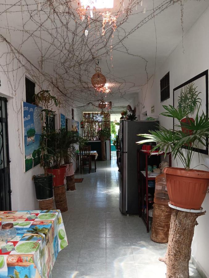Alojamiento Ya'Ax Nah Playa del Carmen Dış mekan fotoğraf