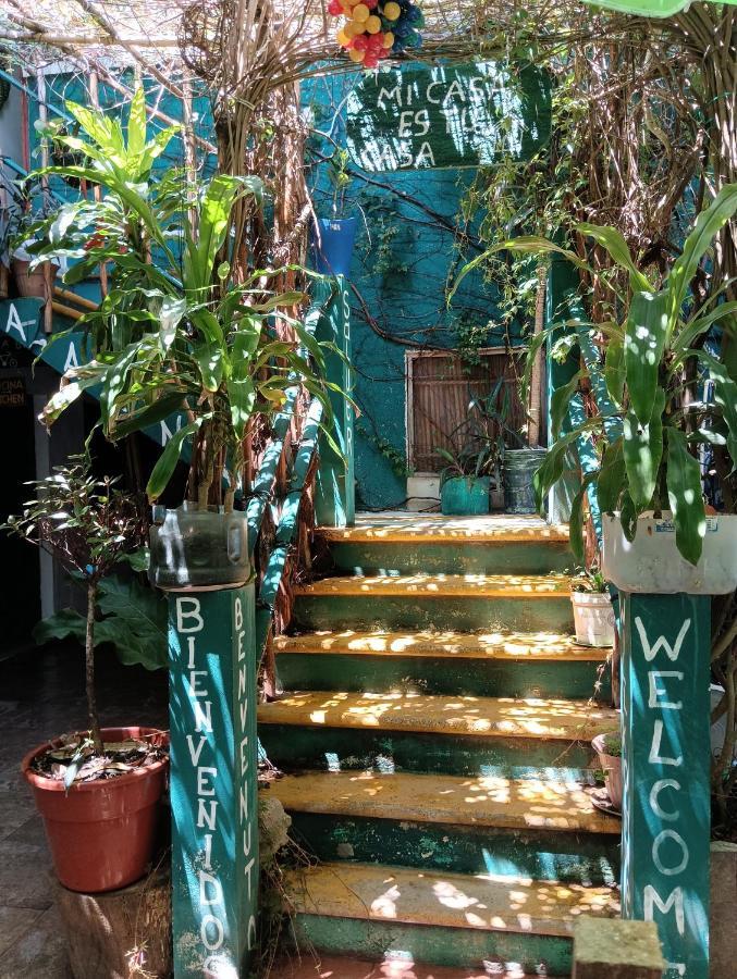 Alojamiento Ya'Ax Nah Playa del Carmen Dış mekan fotoğraf
